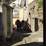 Piccola Casina * Oriolo (Calabria)