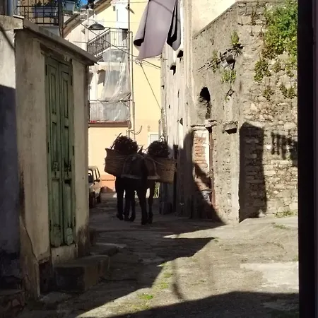 Piccola Casina * Oriolo (Calabria)