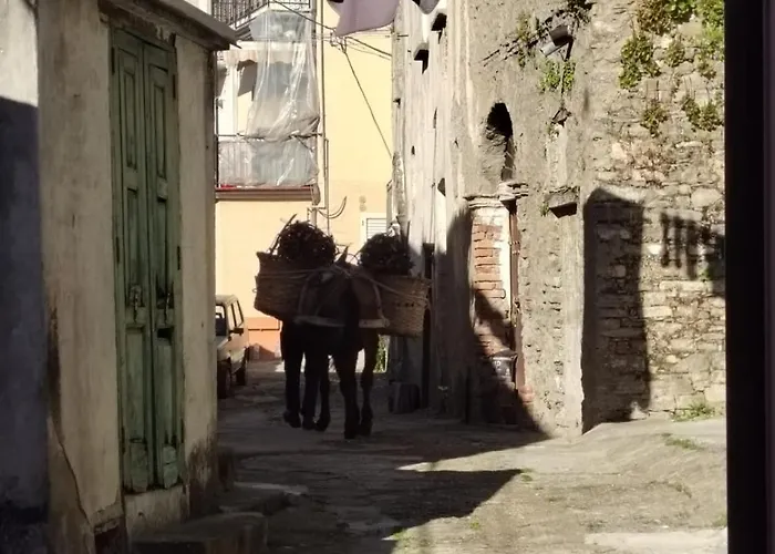 Piccola Casina * Oriolo (Calabria)